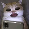 evhoo_whoo