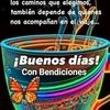 robert.correa7