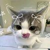 rorrww081