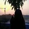 fariaislam.42