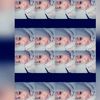 mhmdrzkisdik2