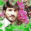 m.farooq.shahzad438