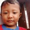 _budeis