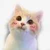 pimomu