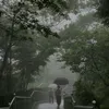 adndkyl