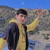 shahidraza7981