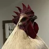 epicjoh97