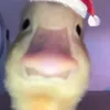 kssjhshshshsj