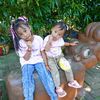 deviwulandari8402