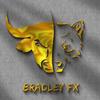 bradley_fx254