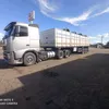 eliseugusmao825