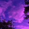 ericadavie
