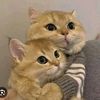 alyazhr_22