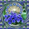 user773067644