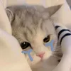 ur.gril.elvi