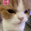 arn_arska