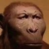 marcupial77