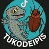 tukode ipis