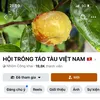 GROUP F/B: HỘI TRỒNG TÁO TÀU