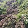 userndelsernsb
