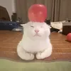 _oiloainguoi33_