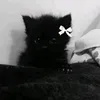 usercm8g0cknzy