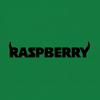 ._.raspbery