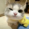 uwuu.pitriiii