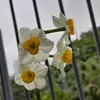 el_zaara1301