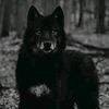 user99g793j59815ji