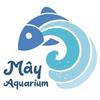 Mây Aqua - Thiên đường cá cảnh