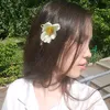 lexs_yq