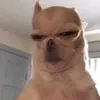 thieneana_0.0