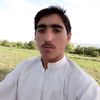 shamsrehman6956