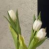 aigul_3334