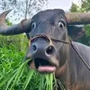 eemjhay08