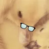 vinhsig_boy