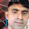 gous.ali1