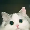 _ltam.ie_