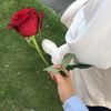 xr__g4
