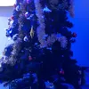 pipterstuff