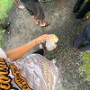 warut563