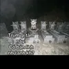 hellokittynhi2