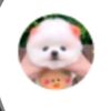 user2563176655532