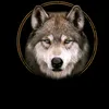 wolf......wolf