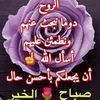 rayankas29