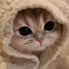 nvazndazt