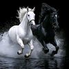 asmaa.samseuma