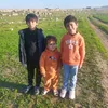 user8684193326754