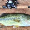 bass.fishing.kenya